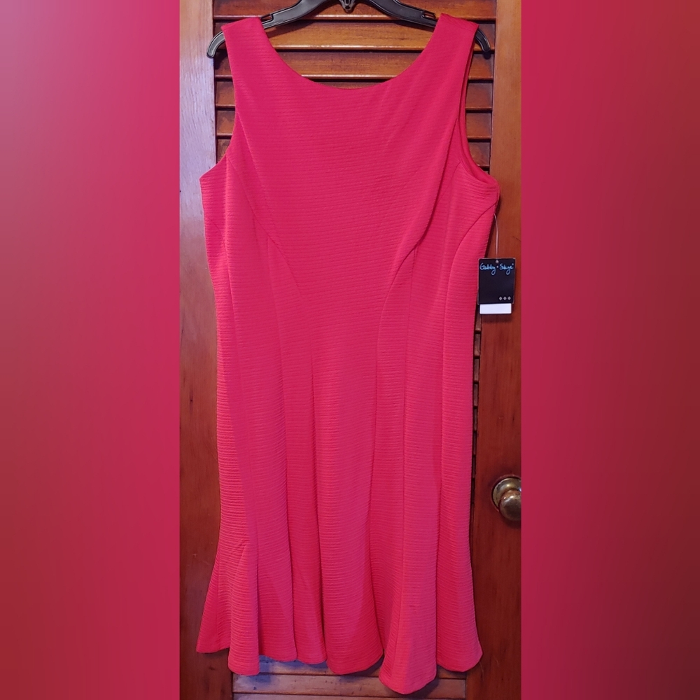 ✨Fabulous!✨Gabby Skye Red Fit-N-Flare Dress 8 NWT - Picture 3 of 5